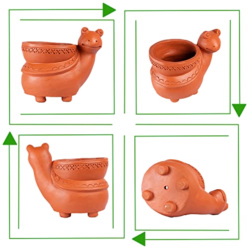 Terracotta  Snail Shape Planter Indoor / Outdoor