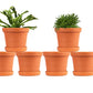 Terracotta Plant Container with Bottom Tray 4 inch
