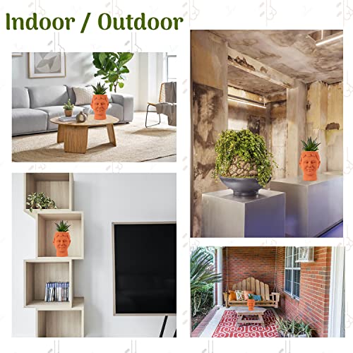 Terracotta face Shape Planter Indoor / Outdoor