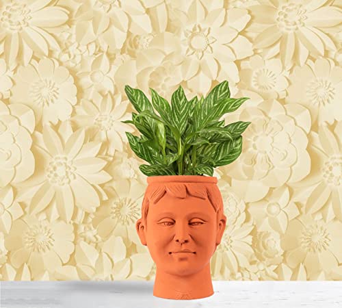 Terracotta face Shape Planter Indoor / Outdoor