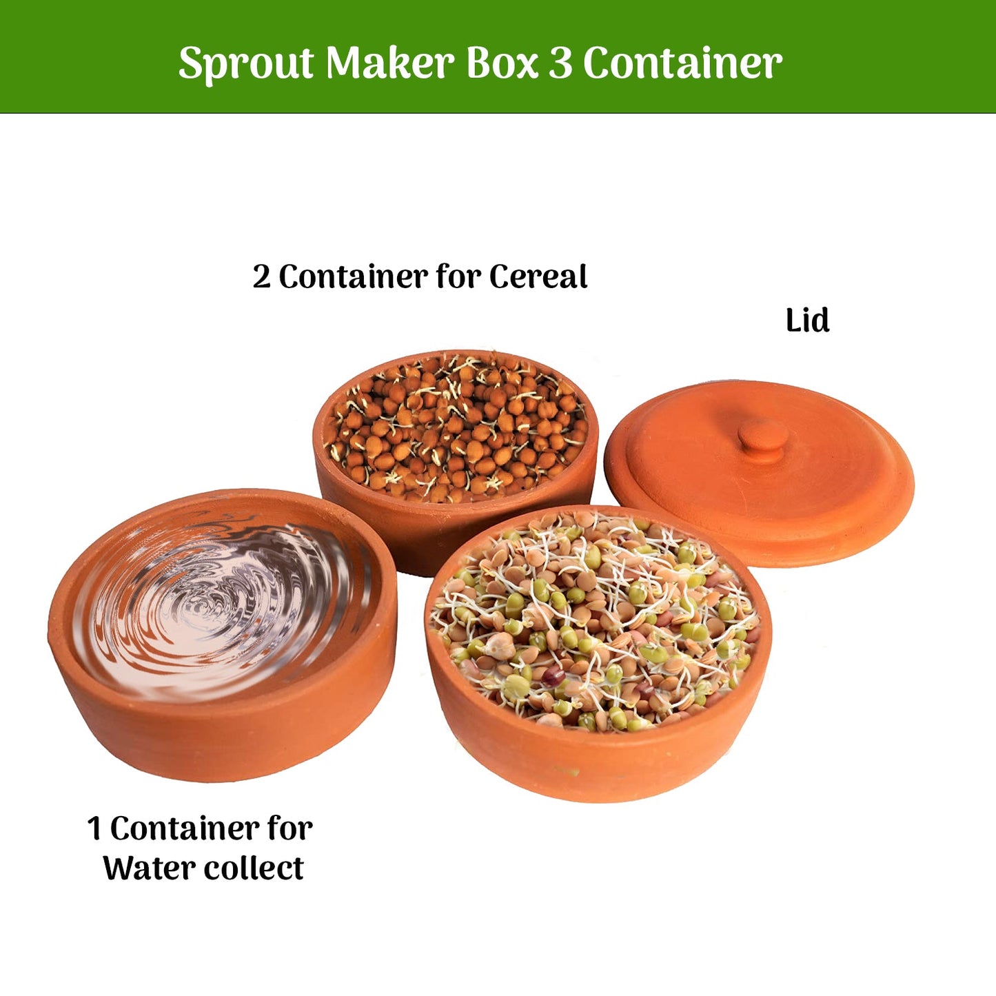 Earthen Clay Sprout Box (3 container)