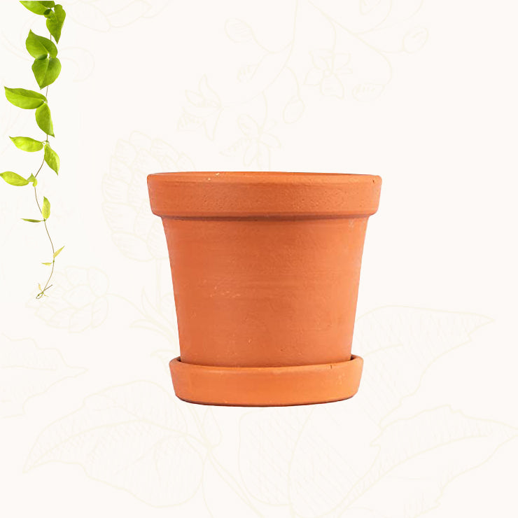 Terracotta Plant Container with Bottom Tray 4 Inch