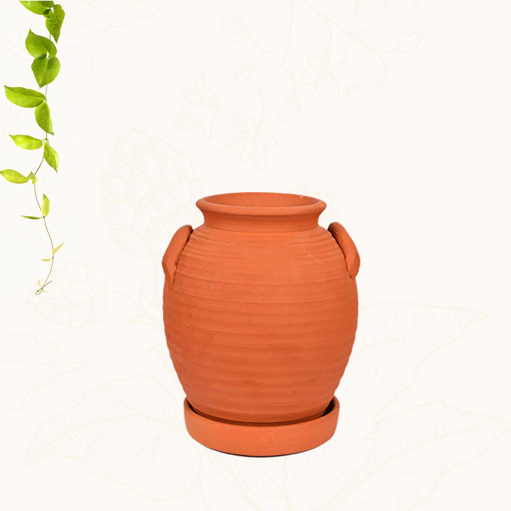 Terracotta Jar Model Planter with Bottom Tray   7.5 inch
