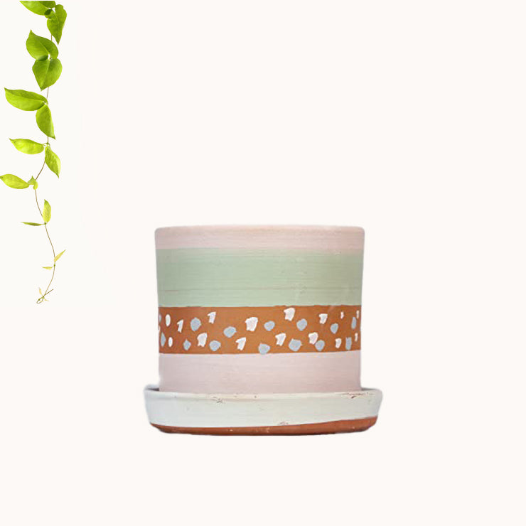 Terracotta Pink Painted Plant Container with Bottom Tray