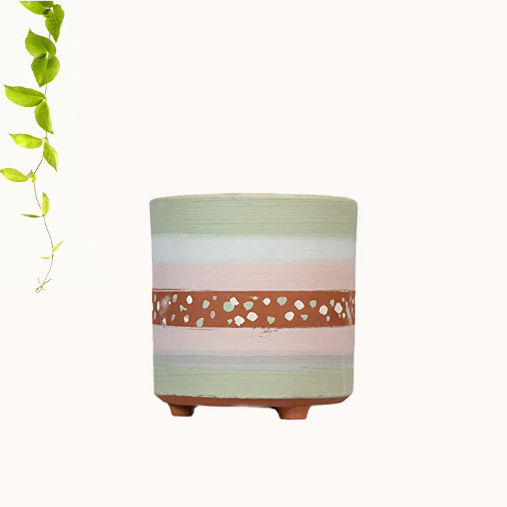 Terracotta Painted Plant Container with Bottom Tray