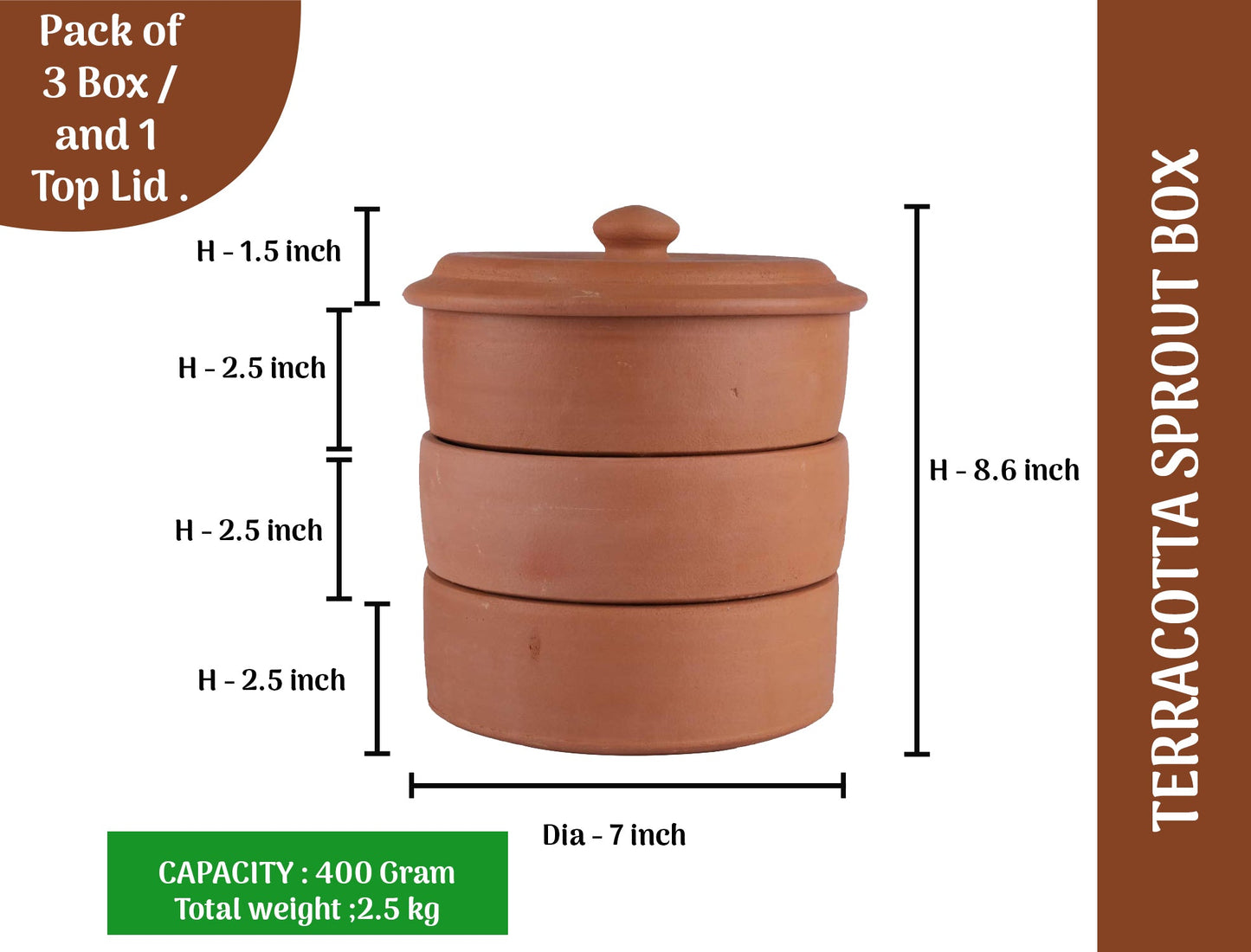 Earthen Clay Sprout Box (3 container)